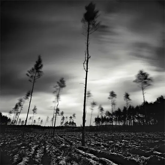 Arte en blanco y negro