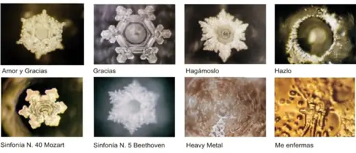 fractal