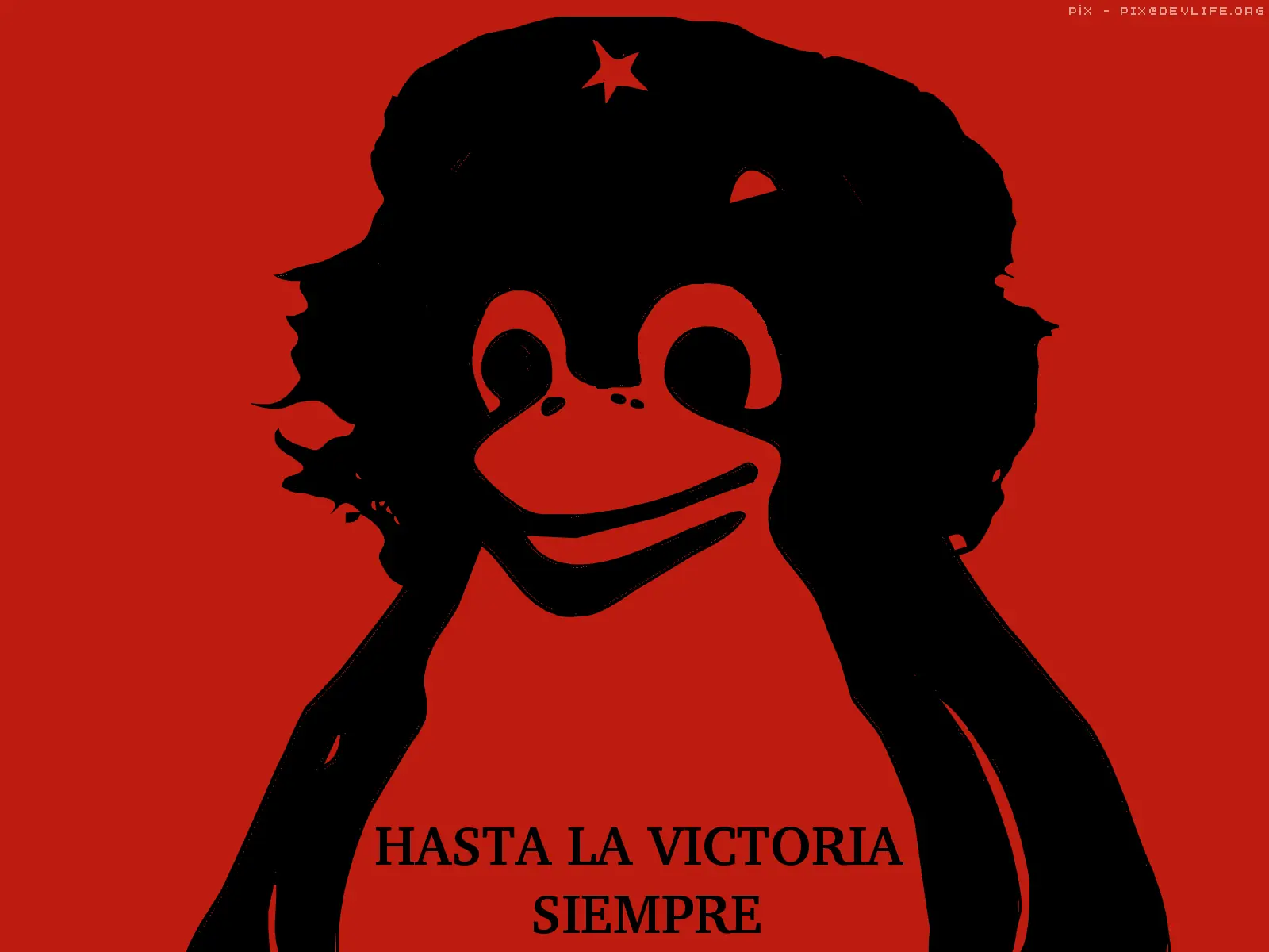 temas, wallpapers, iconos y fuentes para ubuntu