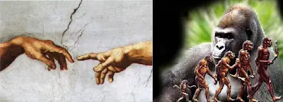 CreaciÓn o Darwinismo?????....Elijan.