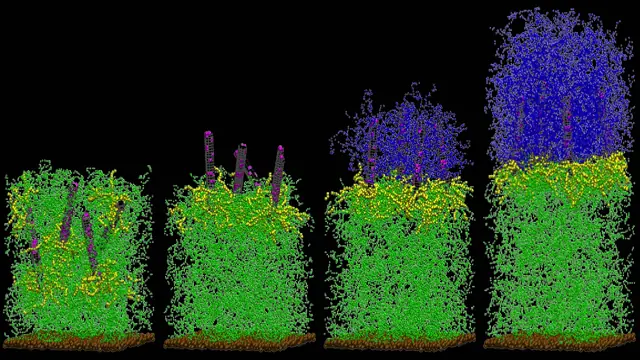 Inspirados en anfibios, desarrollan gel que regenera materia
