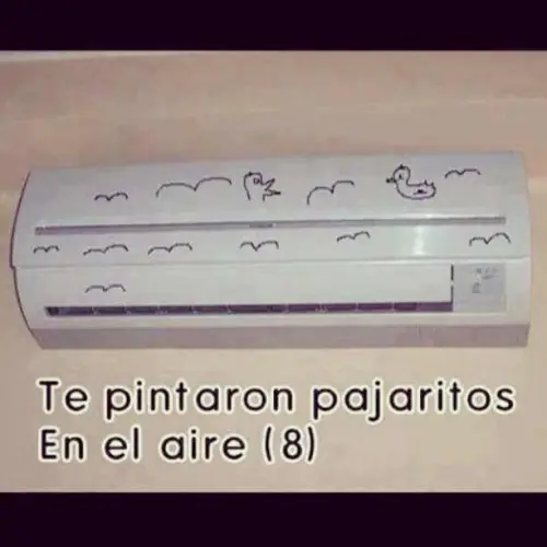 Gifs
