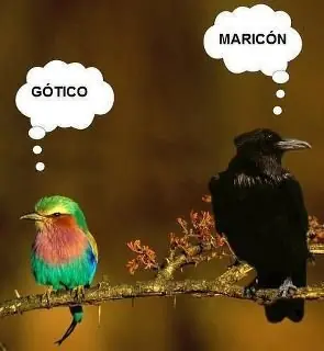 imagenes