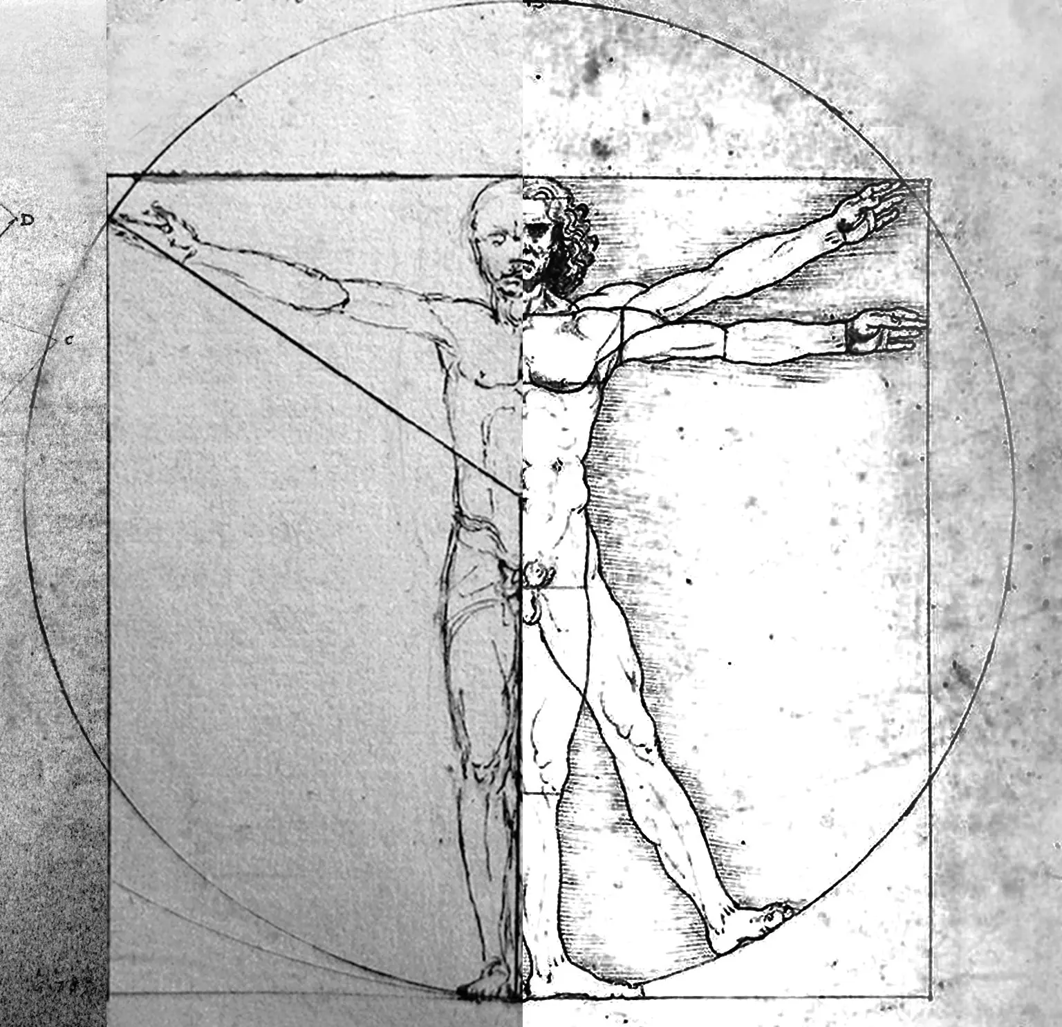 el dibujo más célebre de Da Vinci es una copia ?