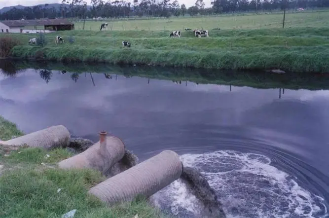 que es la contaminacion del medio ambiente