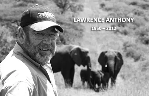 Increible – Elefantes Acuden al Funeral de su amigo humano