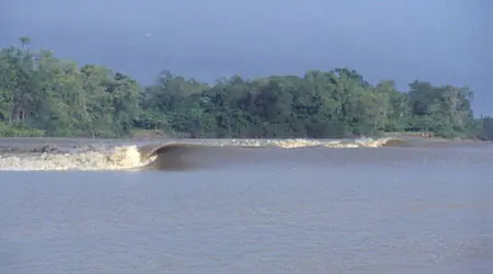 mdq para todo el mundo!