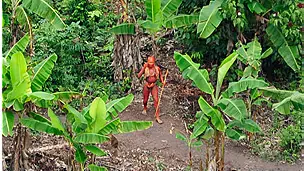 indigenas