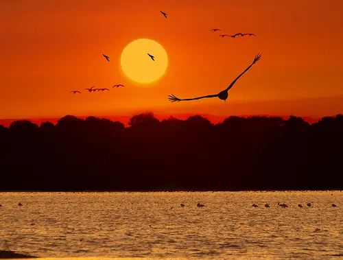Atardecer (poesía hecha por mi)