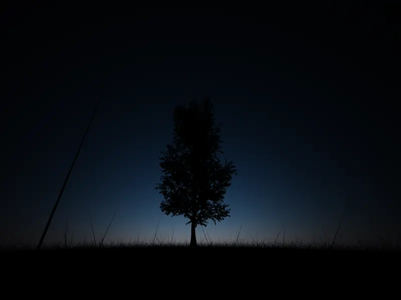 vray