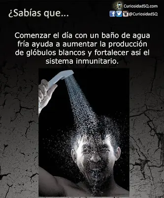 sabias que