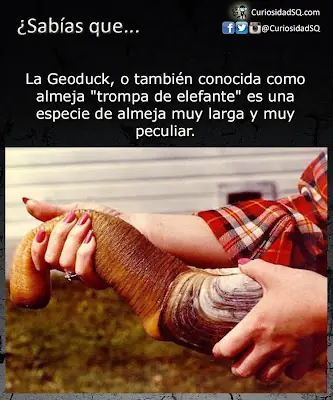 imagenes