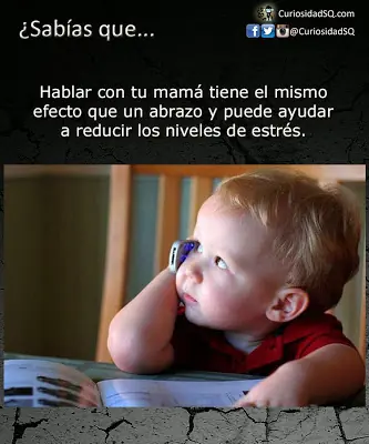 Sabias que ? [Imagenes]
