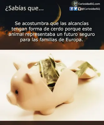 sabias que