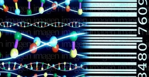 Científicos chinos logran almacenar 90Gb en bacterias