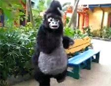 Tu vida resumida en gifs