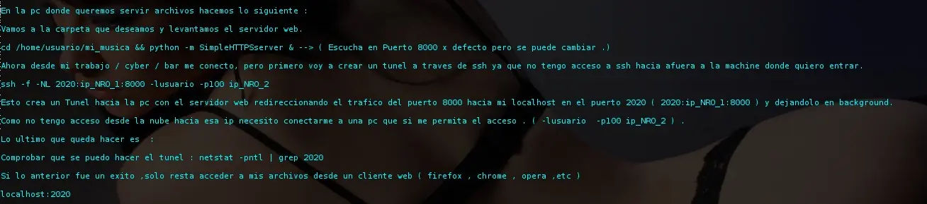 Servidor Web ( Python )