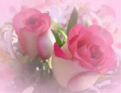 gloria