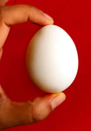 etimología