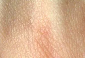 desconocidos