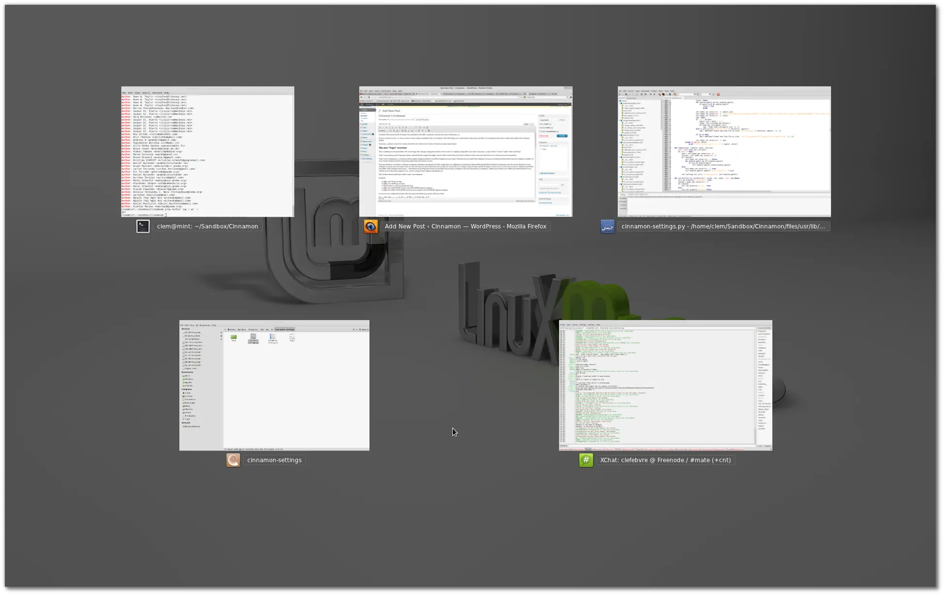 linuxmint