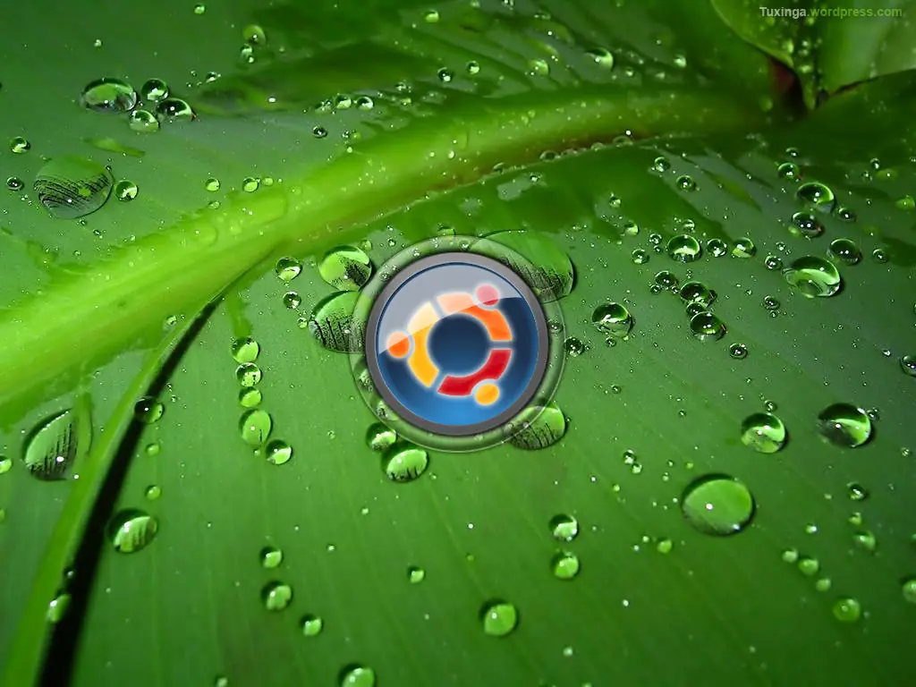 Reproducir rmvb en Ubuntu Hardy
