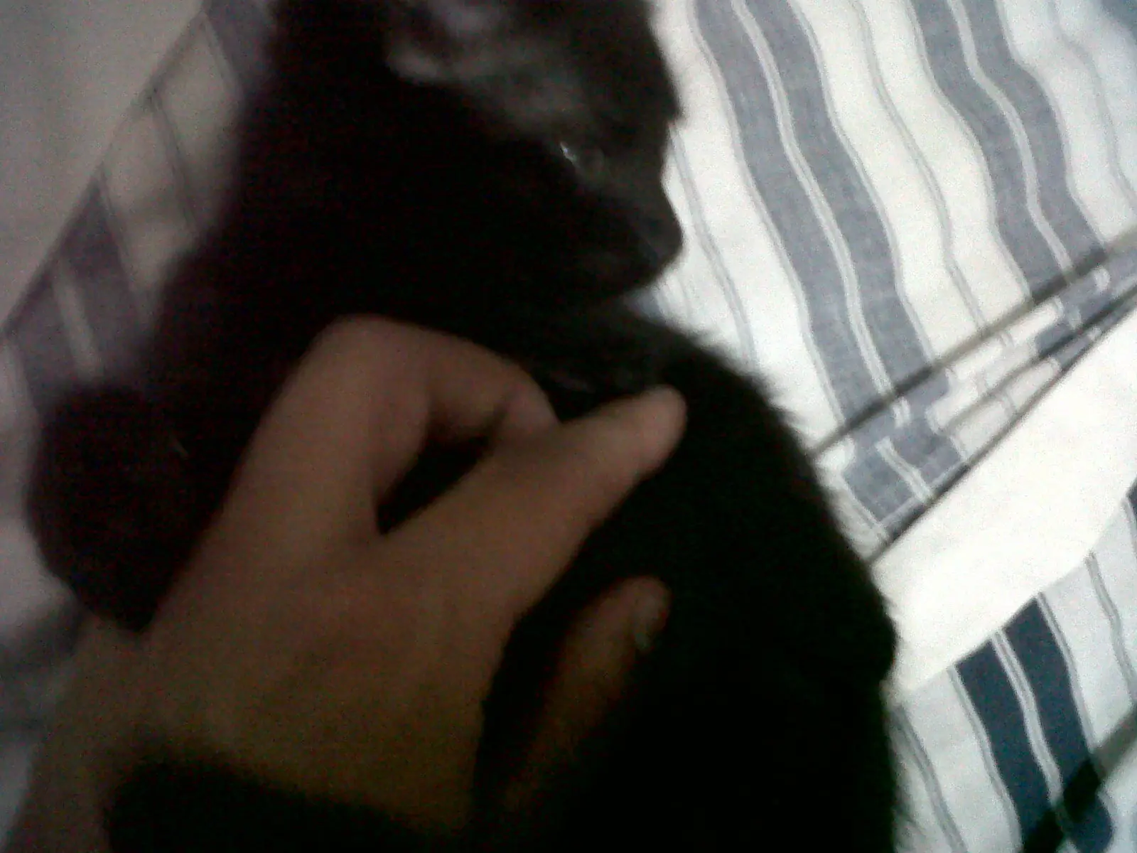 Adios amiguito, mañana será otro día..