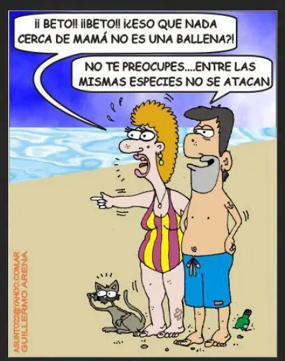 muy buenas imágenes de humor.