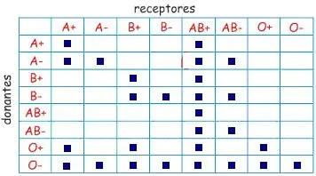 discusion
