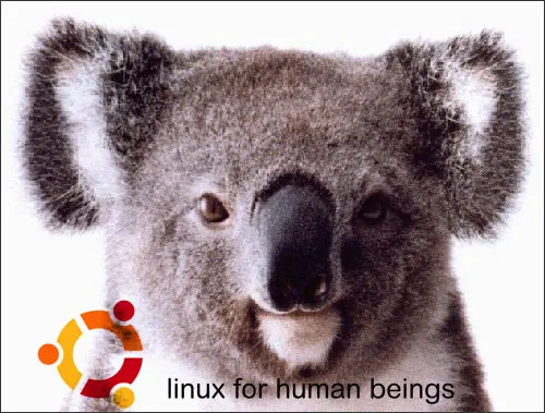 Poné a punto tu Ubuntu 9.10 Kamic Koala