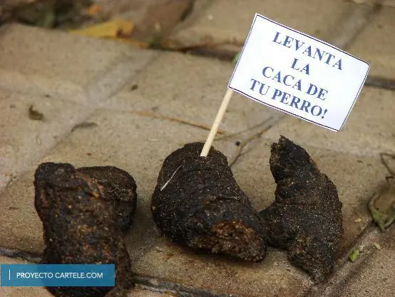 Un poco de humor para pasarla mejor