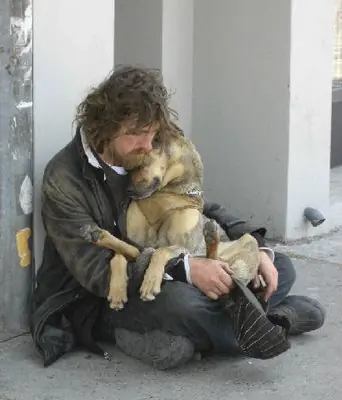 feases de amistad y amor