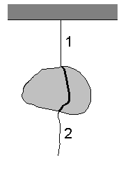 masa