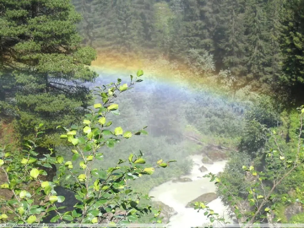 naturaleza