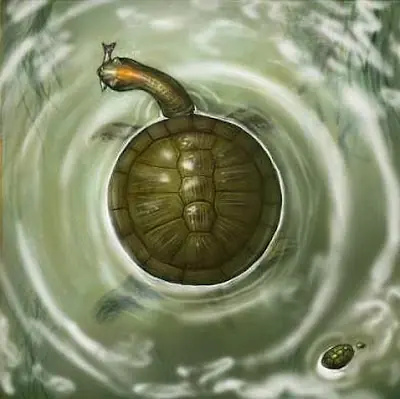 Una nueva especie de tortuga fósil con un caparazón redond