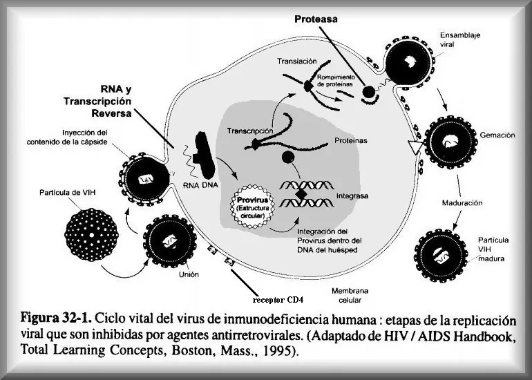 aids