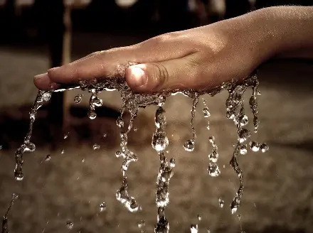 el camino a la cura de todas las enfermedades