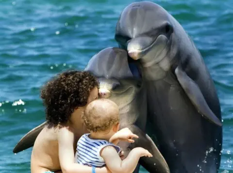 el camino a la cura de todas las enfermedades