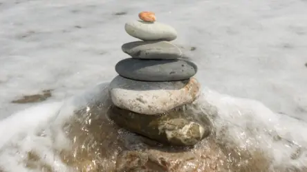 el camino a la cura de todas las enfermedades