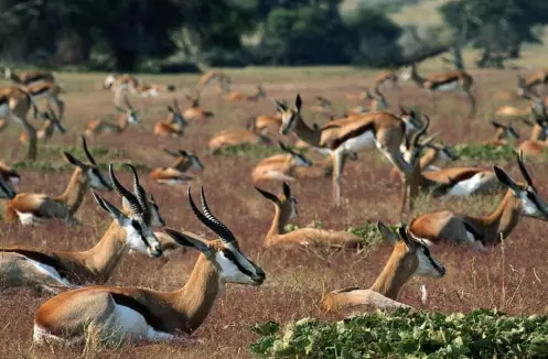 el camino a la cura de todas las enfermedades