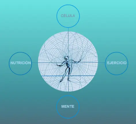 el camino a la cura de todas las enfermedades
