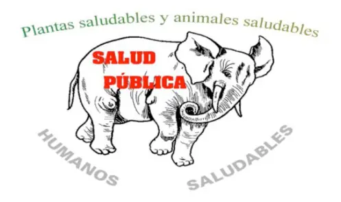 el camino a la cura de todas las enfermedades