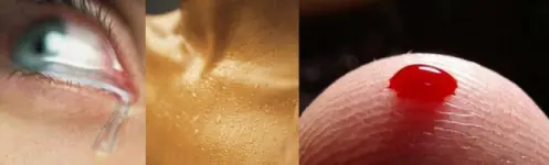 el camino a la cura de todas las enfermedades