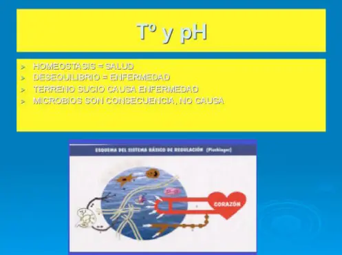 el camino a la cura de todas las enfermedades