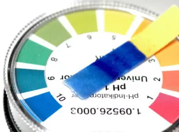 el camino a la cura de todas las enfermedades