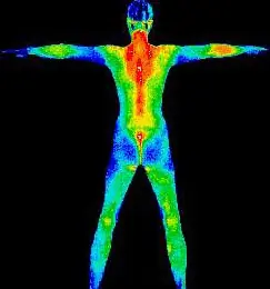 el camino a la cura de todas las enfermedades