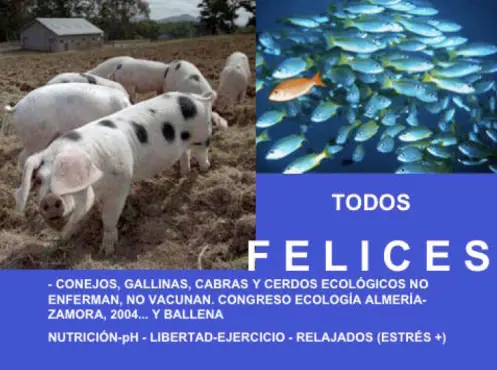 el camino a la cura de todas las enfermedades