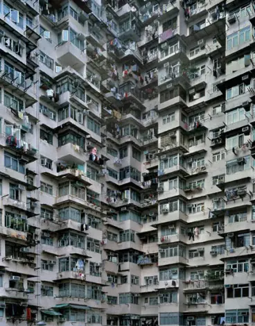 el camino a la cura de todas las enfermedades