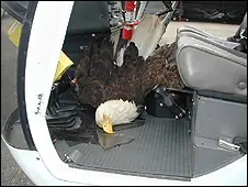 Cuidado si viajas en avión