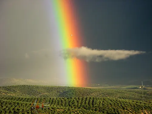Hacer un Arco Iris en Casa!! Muy Bueno y Facil!